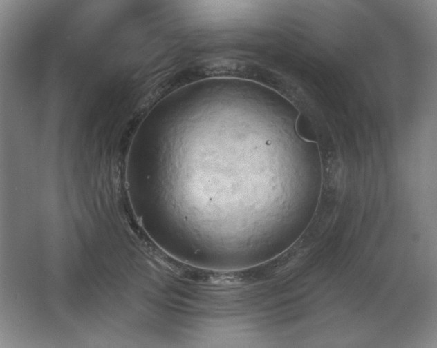 X0000068740753200604281139