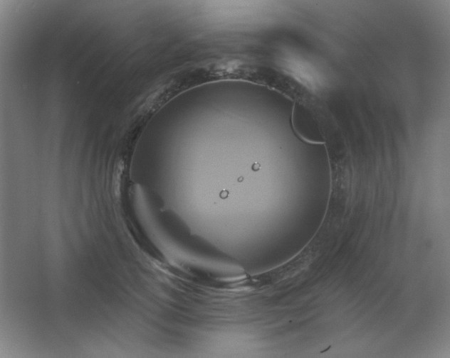 X0000068740754200604281139