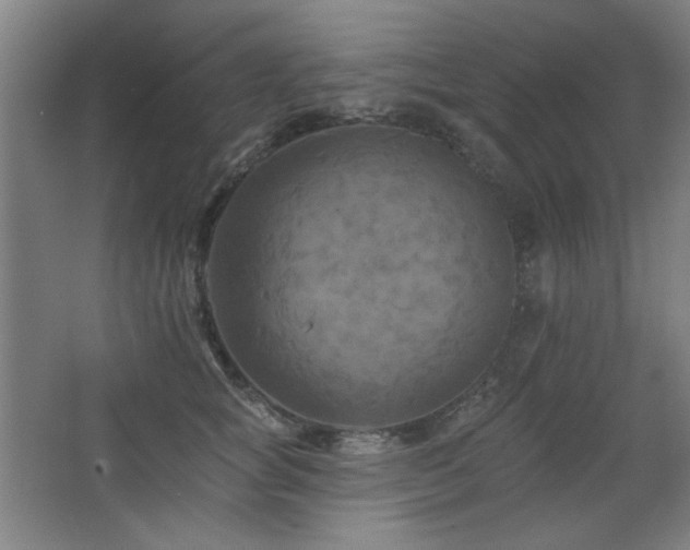 X0000068740757200604281139