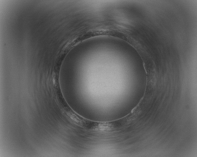 X0000068740758200604281139