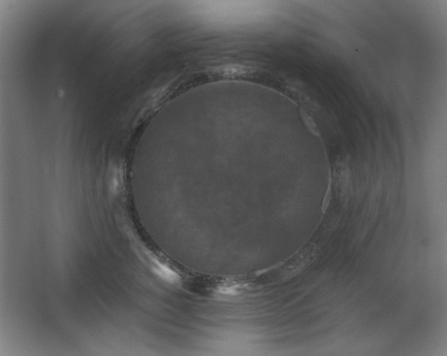 X0000068740760200604281139