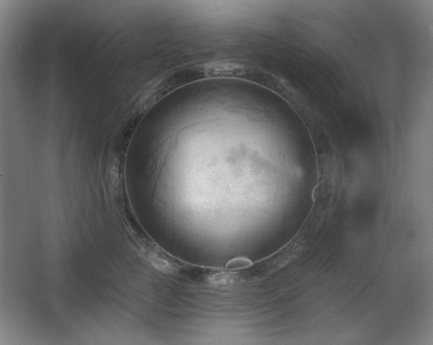 X0000068740761200604281139