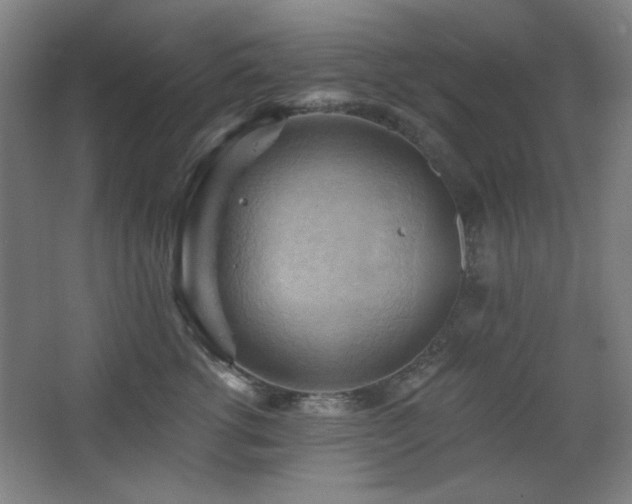 X0000068740762200604281139