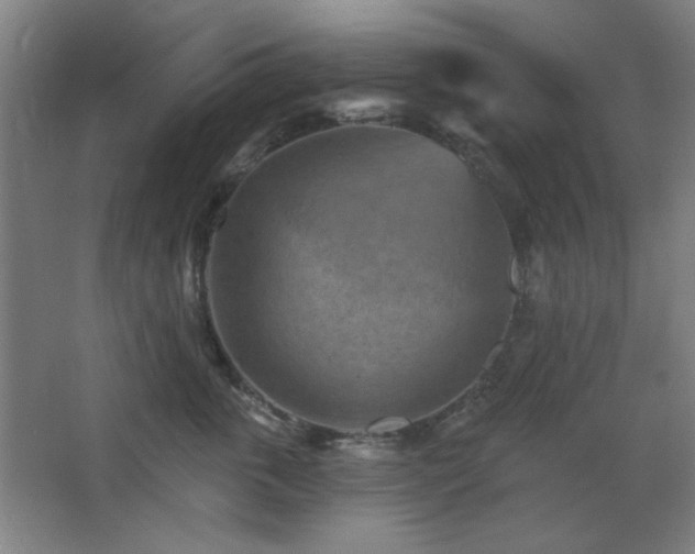 X0000068740763200604281139