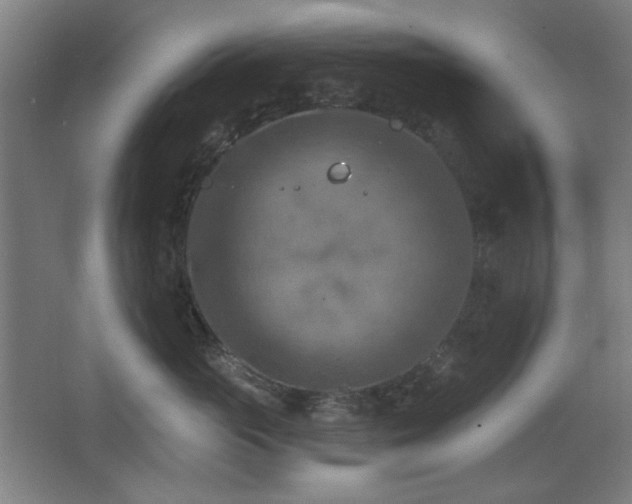 X0000068740765200604281139