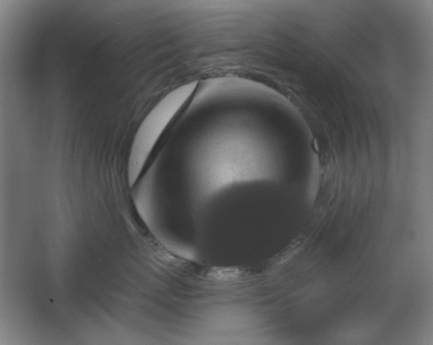 X0000068740767200604281139