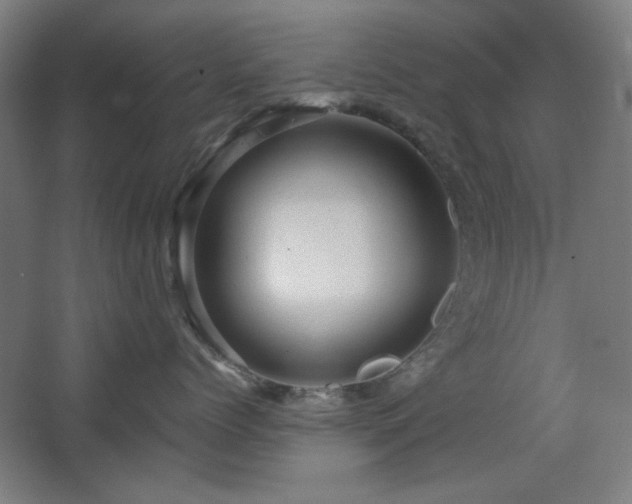 X0000068740768200604281139