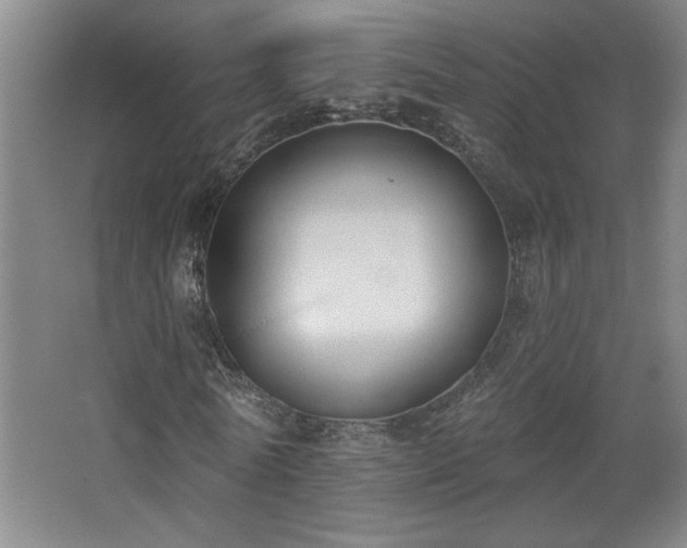 X0000068740770200604281138