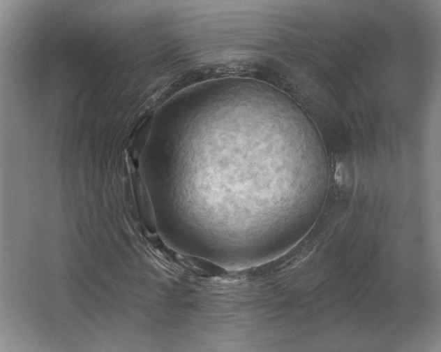 X0000068740771200604281138