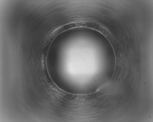 X0000068740773200604281138