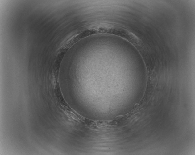 X0000068740774200604281138