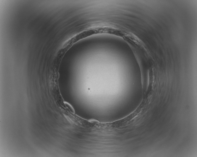 X0000068740775200604281138