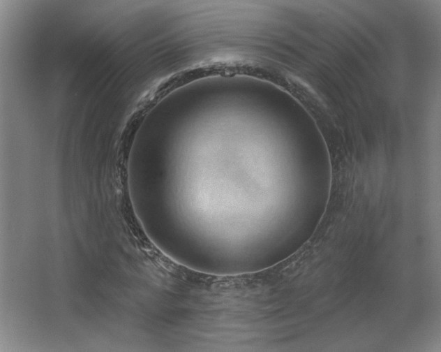 X0000068740776200604281138