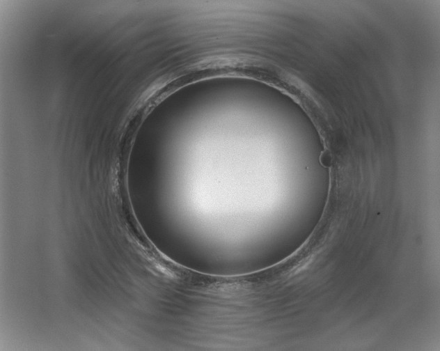 X0000068740778200604281138