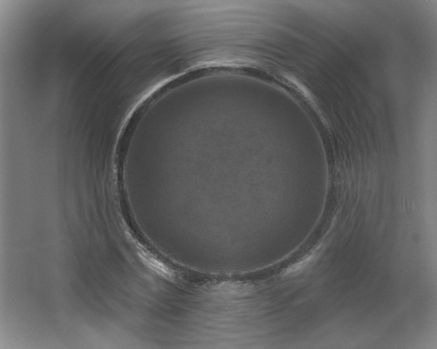 X0000068740779200604281138