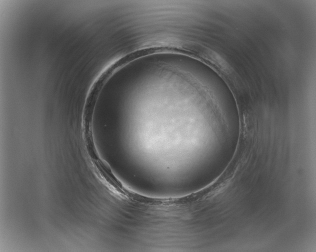 X0000068740780200604281138