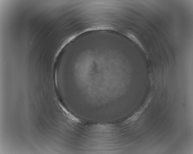 X0000068740781200604281138