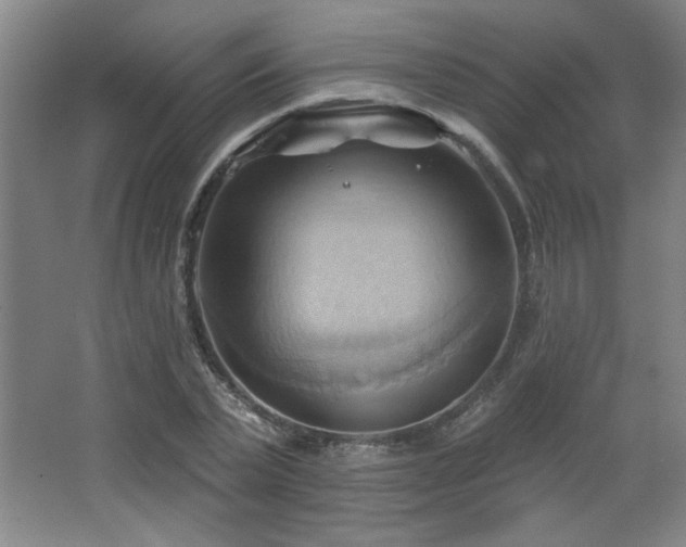 X0000068740783200604281138