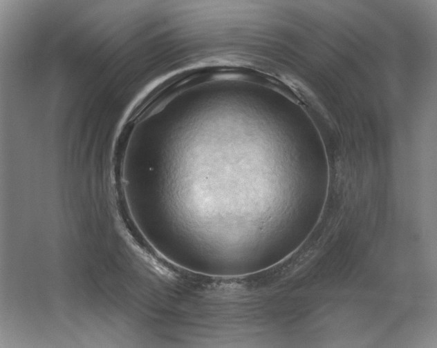 X0000068740784200604281138