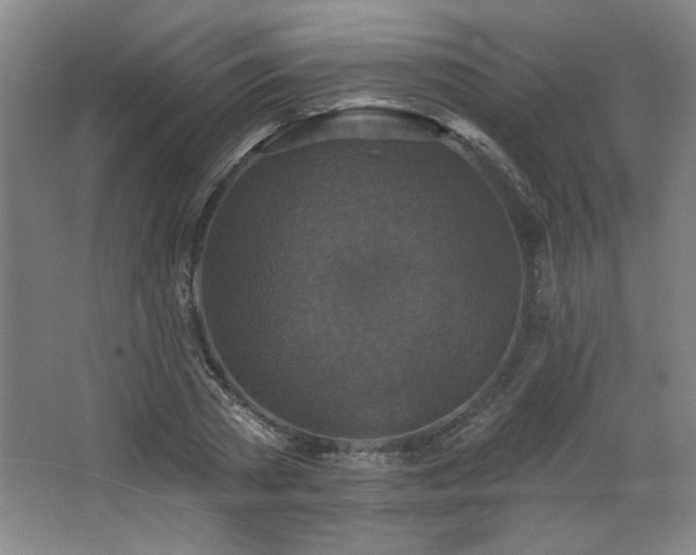 X0000068740785200604281138