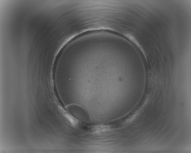 X0000068740789200604281138