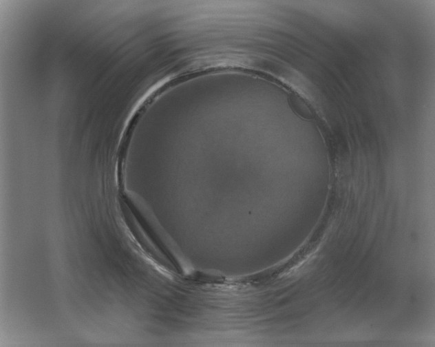 X0000068740790200604281138