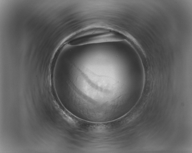 X0000068740791200604281138