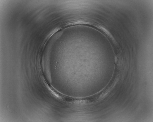 X0000068740793200604281138