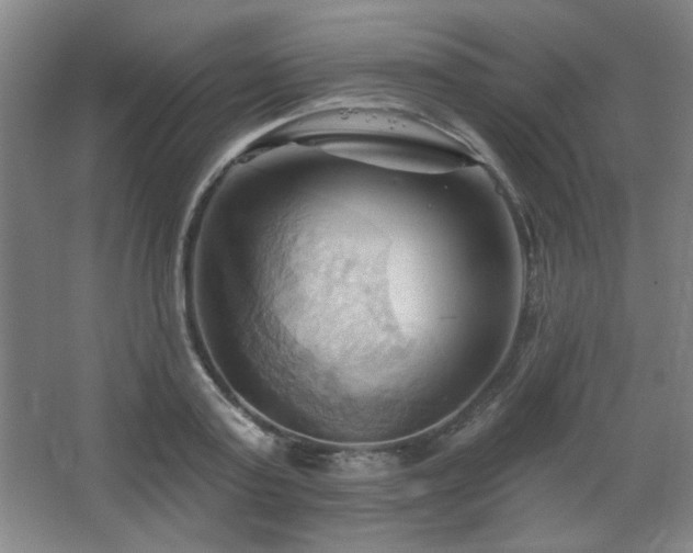 X0000068740795200604281138