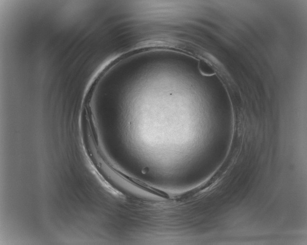 X0000068740796200604281138