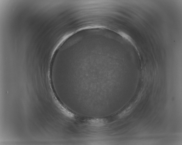 X0000068740797200604281138