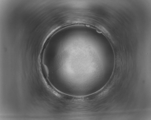 X0000068740798200604281138