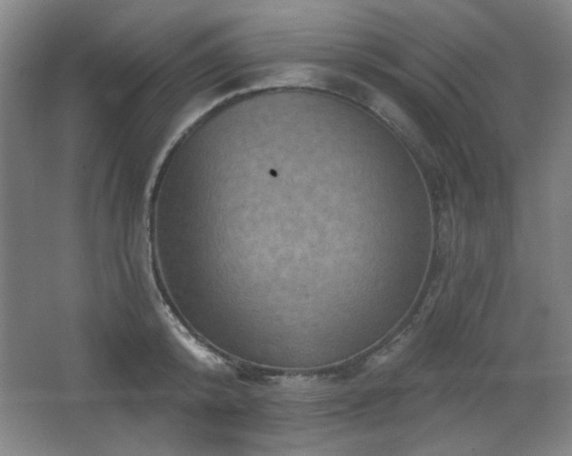 X0000068740800200604281138