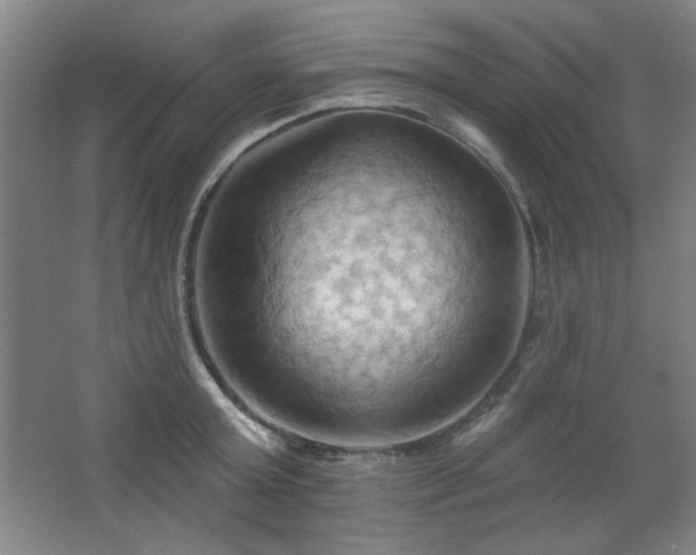 X0000068740803200604281138