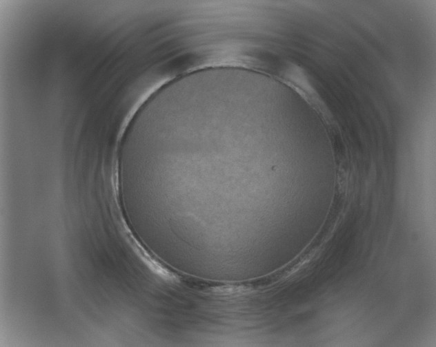 X0000068740804200604281138