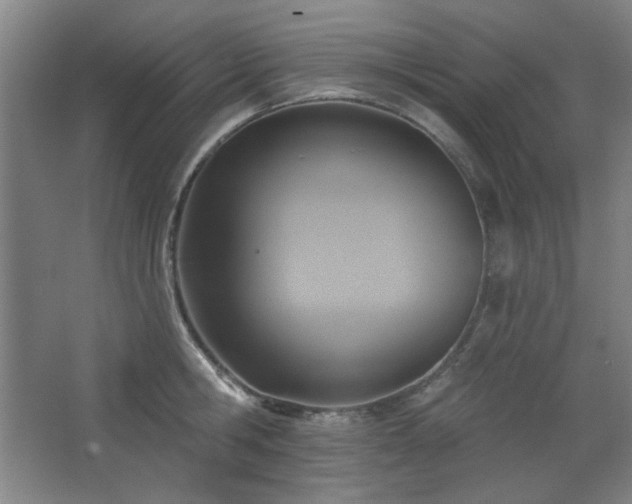 X0000068740806200604281138