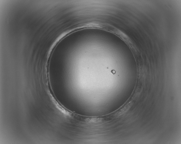 X0000068740808200604281138