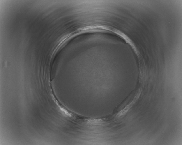 X0000068740809200604281138