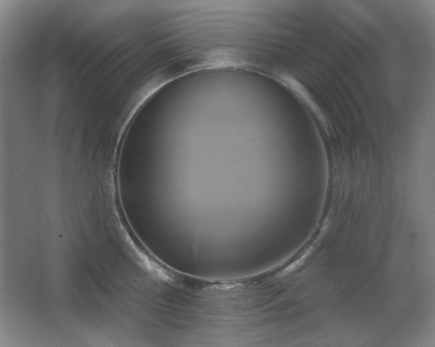 X0000068740810200604281138