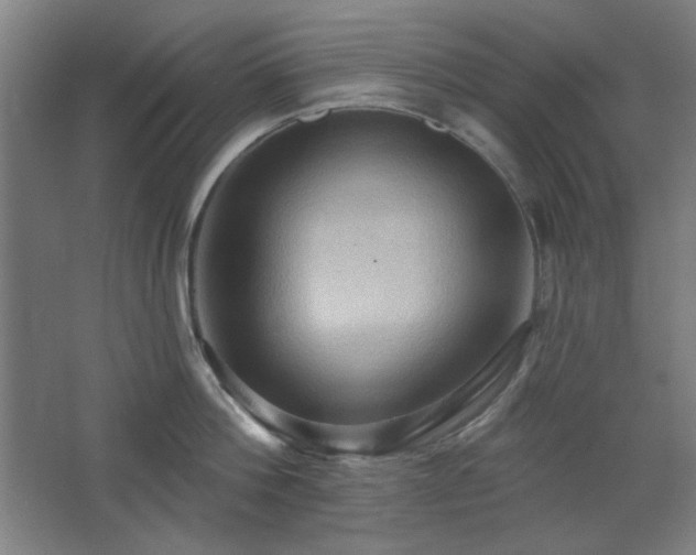 X0000068740812200604281138