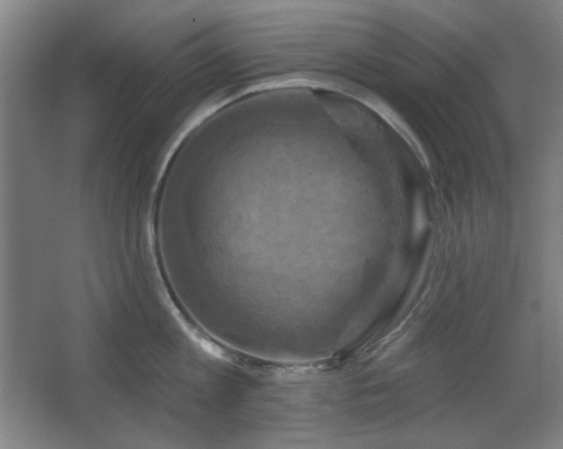 X0000068740813200604281138