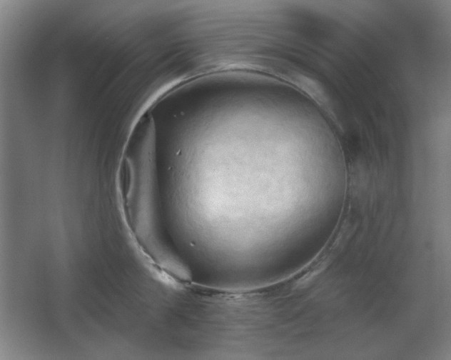 X0000068740814200604281138