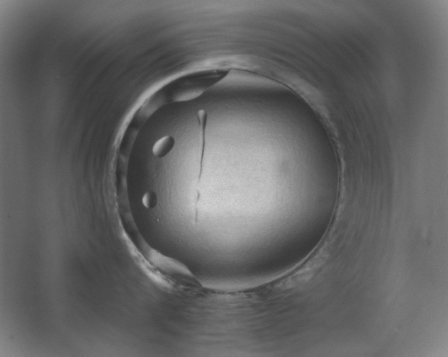 X0000068740816200604281138