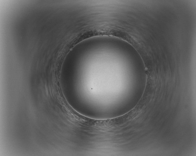 X0000068740817200604281137