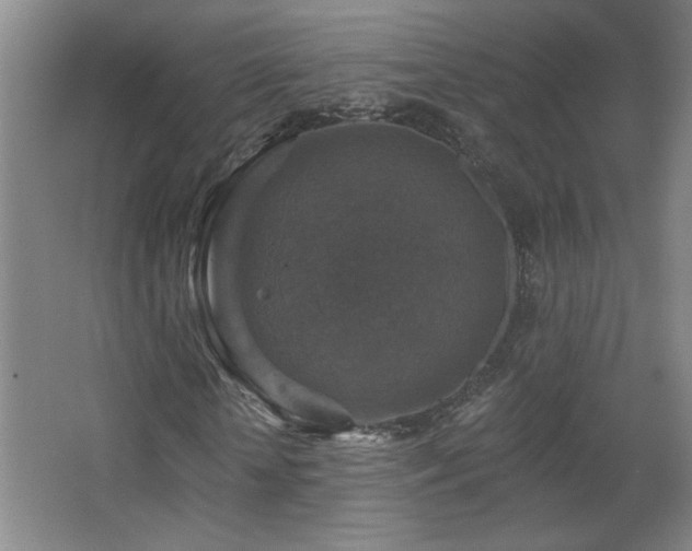 X0000068740818200604281137