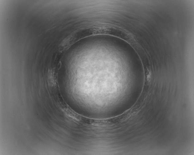 X0000068740819200604281137