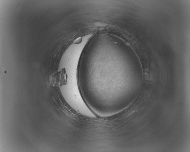 X0000068740820200604281137