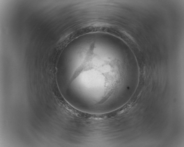 X0000068740821200604281137