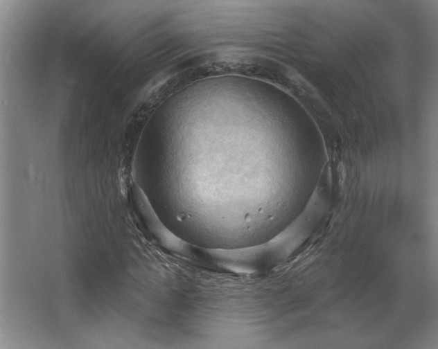 X0000068740822200604281137