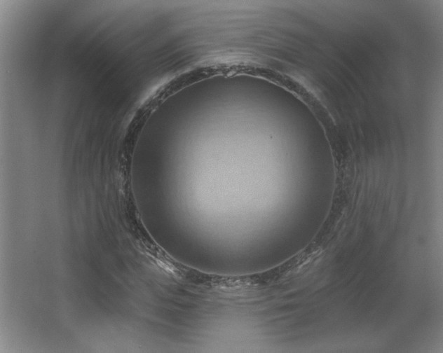 X0000068740823200604281137